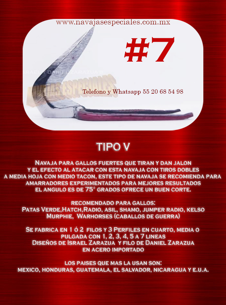 Tipo V